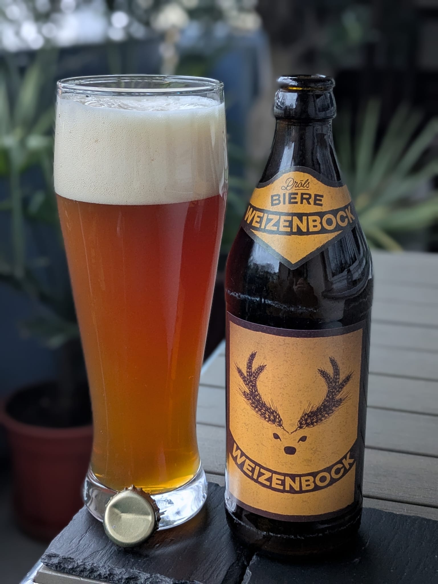 Bierprobe Weizenbock der Brauerei Pröls von FrankenBierFreund