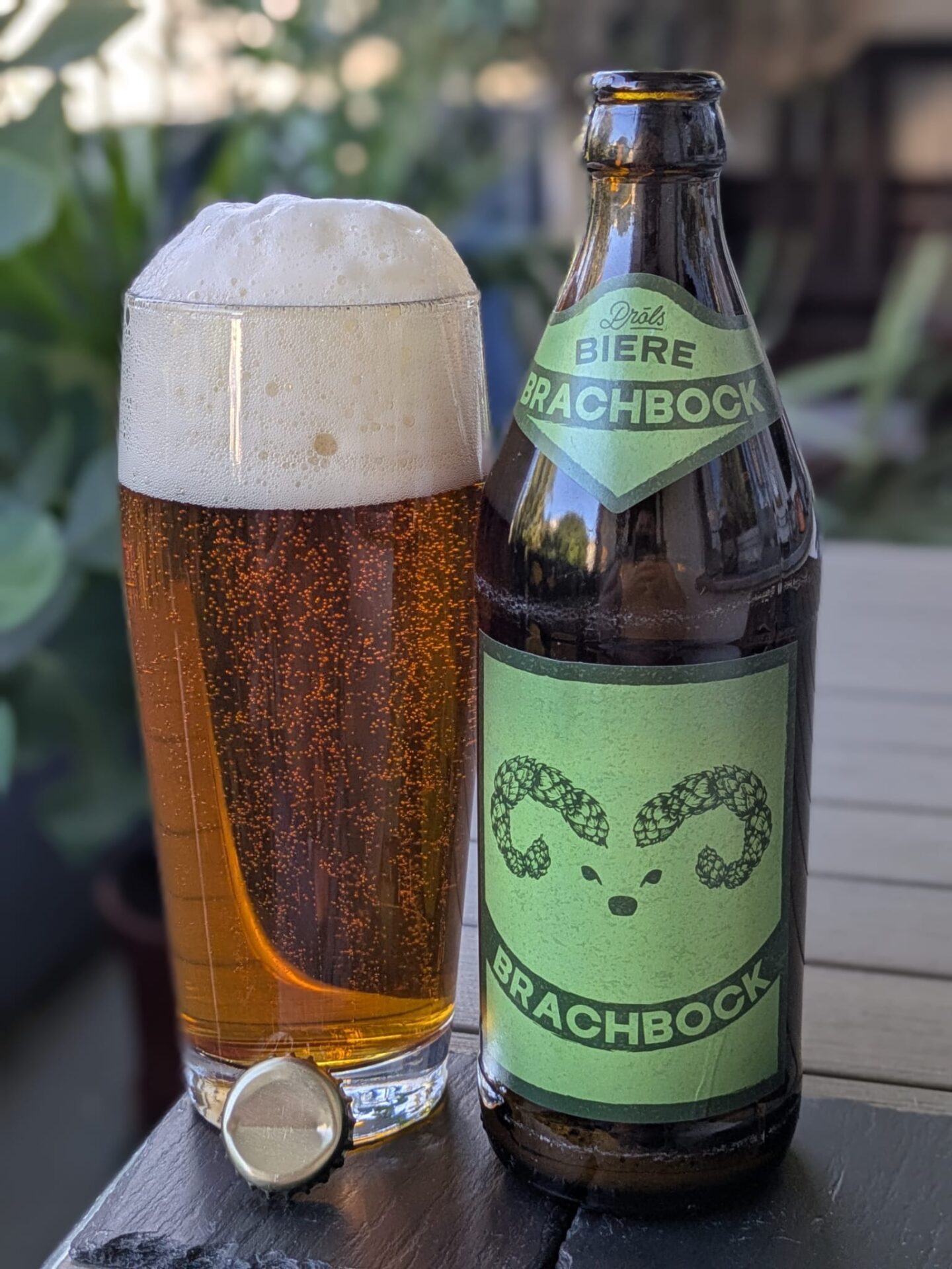 #561: Der Brachbock der Brauerei Pröls aus Weißenburg in Mittelfranken